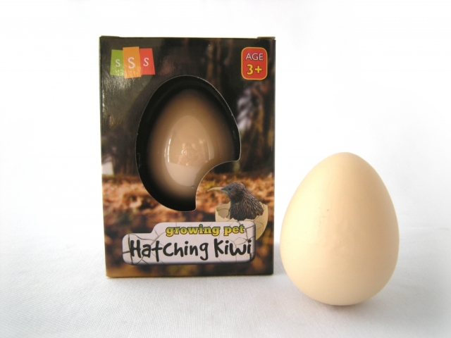 HATCHING KIWI