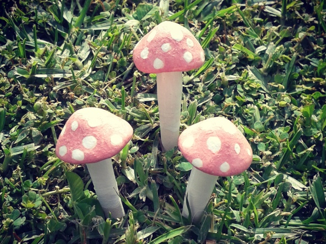 Ceramic Mushrooms